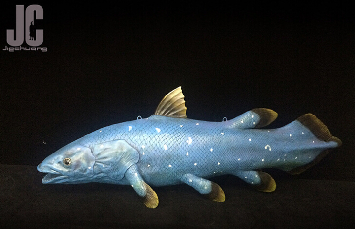 鱼类标本雕塑
