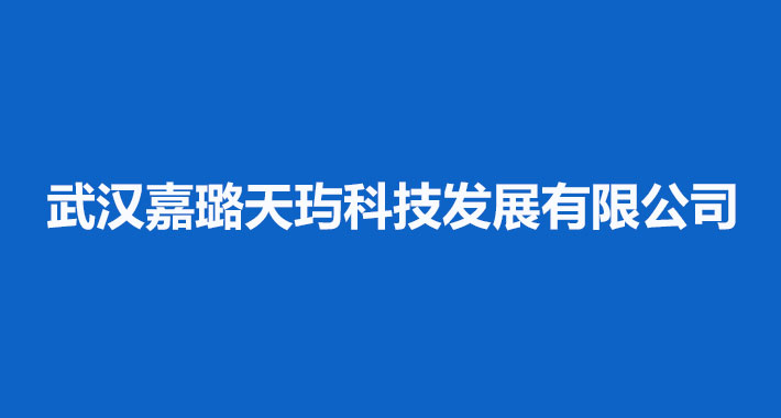 武汉嘉璐天玙科技发展有限公司