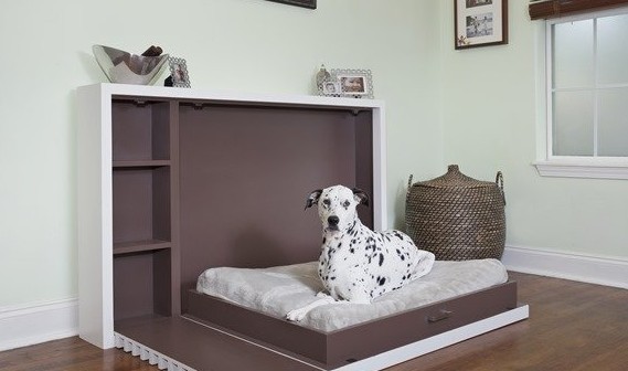 三款宠物床设计，你的宠物应该睡在这样的床上