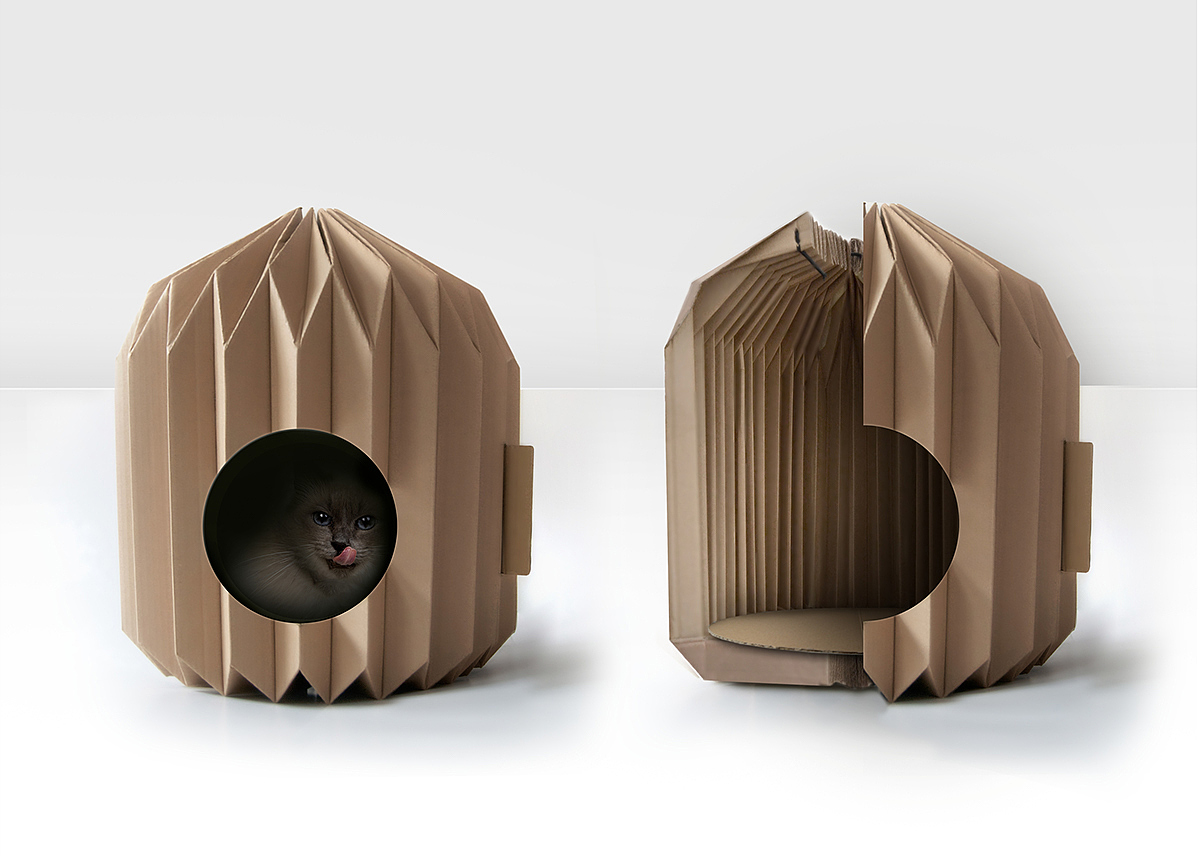 这个现代化的公寓有一个悬浮玻璃小屋，这是猫爱好者和他们的宠物的最爱！ - 普象网