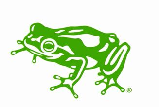 艾斯林格与青蛙设计公司的不解之缘
