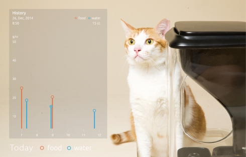 猫咪自动喂食器便捷设计，让猫咪自己去享受美食