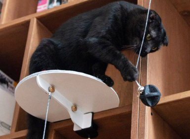 猫爬架设计
