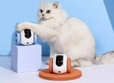 MeowMates 跟随宠物的可爱机器人